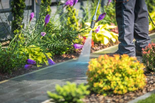 Best Sign and Awning Cleaning  in Fenton, MI