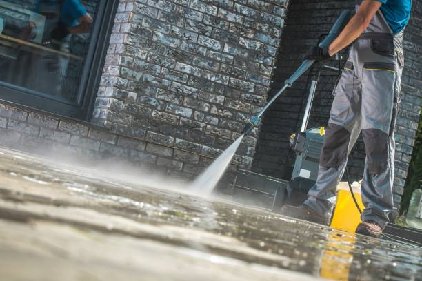Best Driveway Pressure Washing  in Fenton, MI