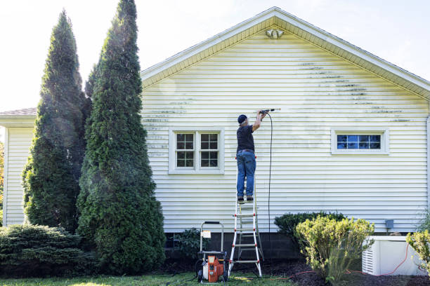 Best Graffiti Removal  in Fenton, MI