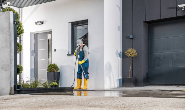Best Paint Preparation  in Fenton, MI